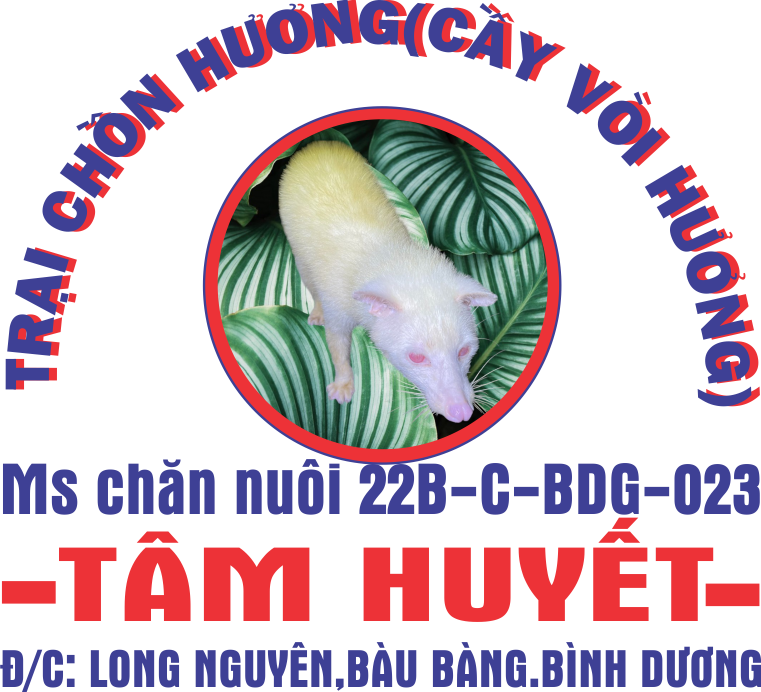 Trang Trại Chồn Hương Bình Duong